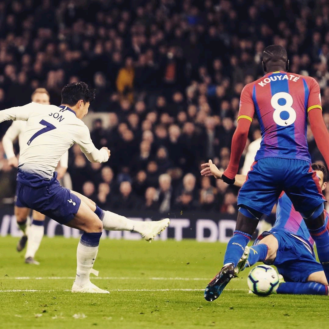 牌和顶级选 牌和顶级选